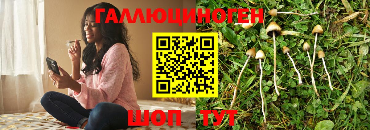 Ревда  Галлюциногенные грибы прущие грибы  Вход с VPN 